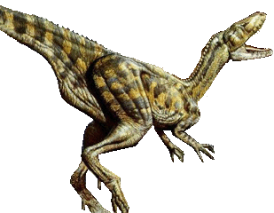 Deltadromidus